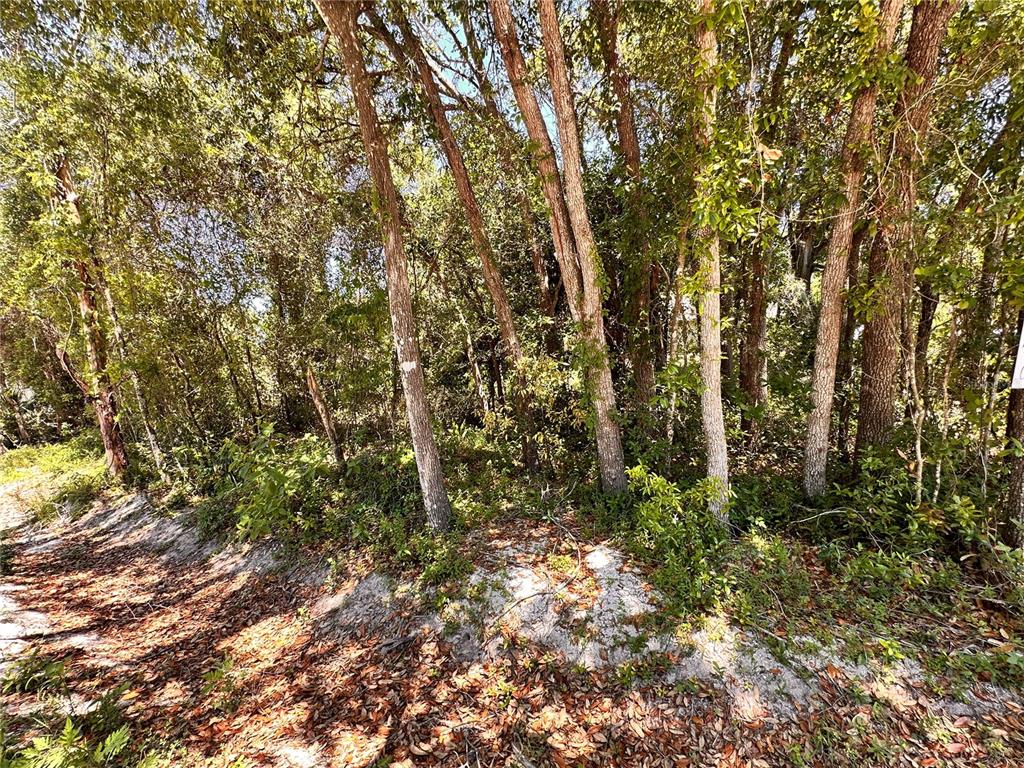 12th Street Orange City, FL 32763 - Photo 2 of 12