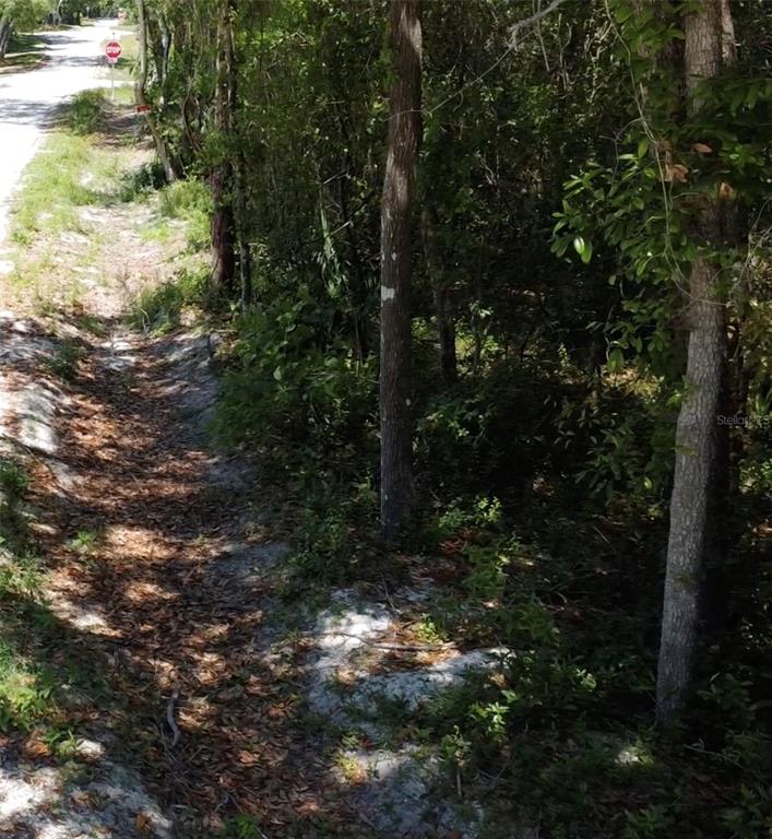 12th Street Orange City, FL 32763 - Photo 3 of 12