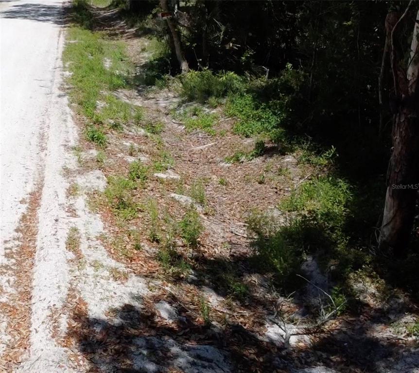 12th Street Orange City, FL 32763 - Photo 5 of 12