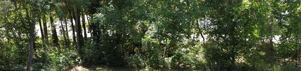12th Street Orange City, FL 32763 - Photo 6 of 12