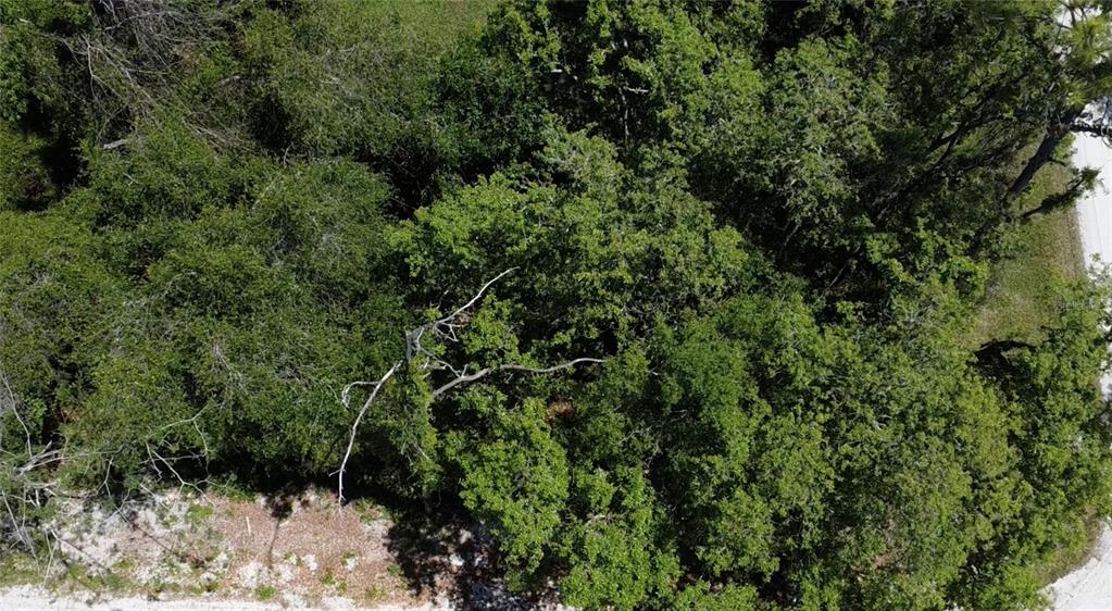 12th Street Orange City, FL 32763 - Photo 9 of 12