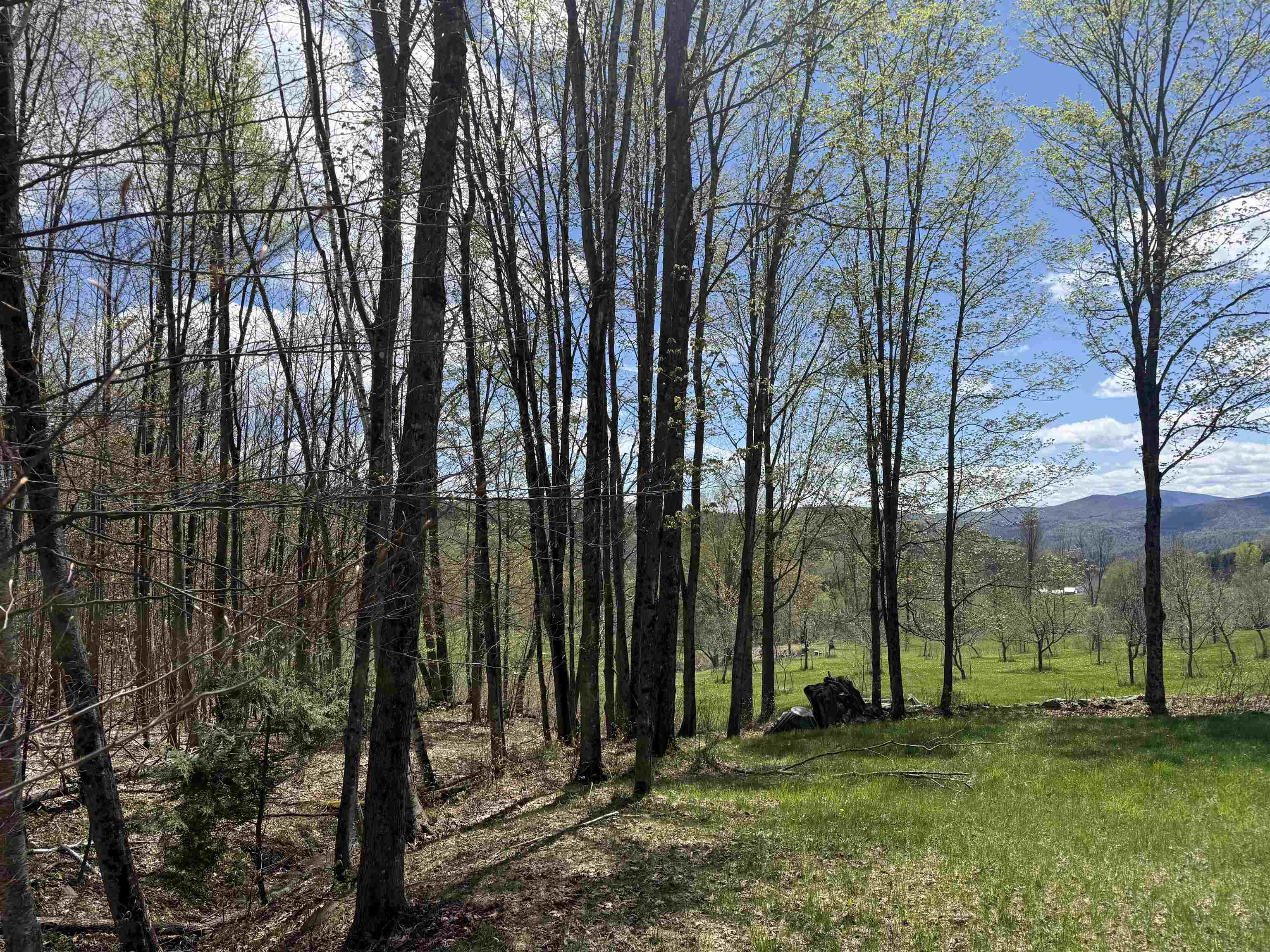 2527 Bent Hill Road Braintree, VT 05060 - Photo 13 of 13 Gallery Image 13