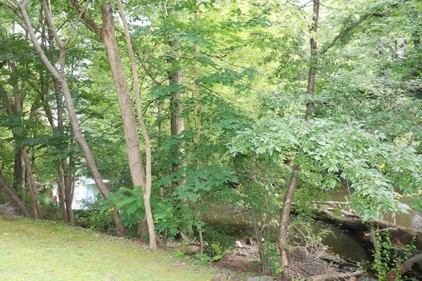 $449,900 | 16 North Stone Mill Drive, Unit 1014, Dedham, MA 02026