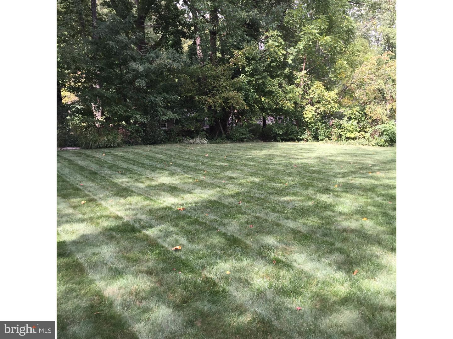 103 Ovington Road Yardley, PA 19067 - Photo 17 of 25 Back Yard
