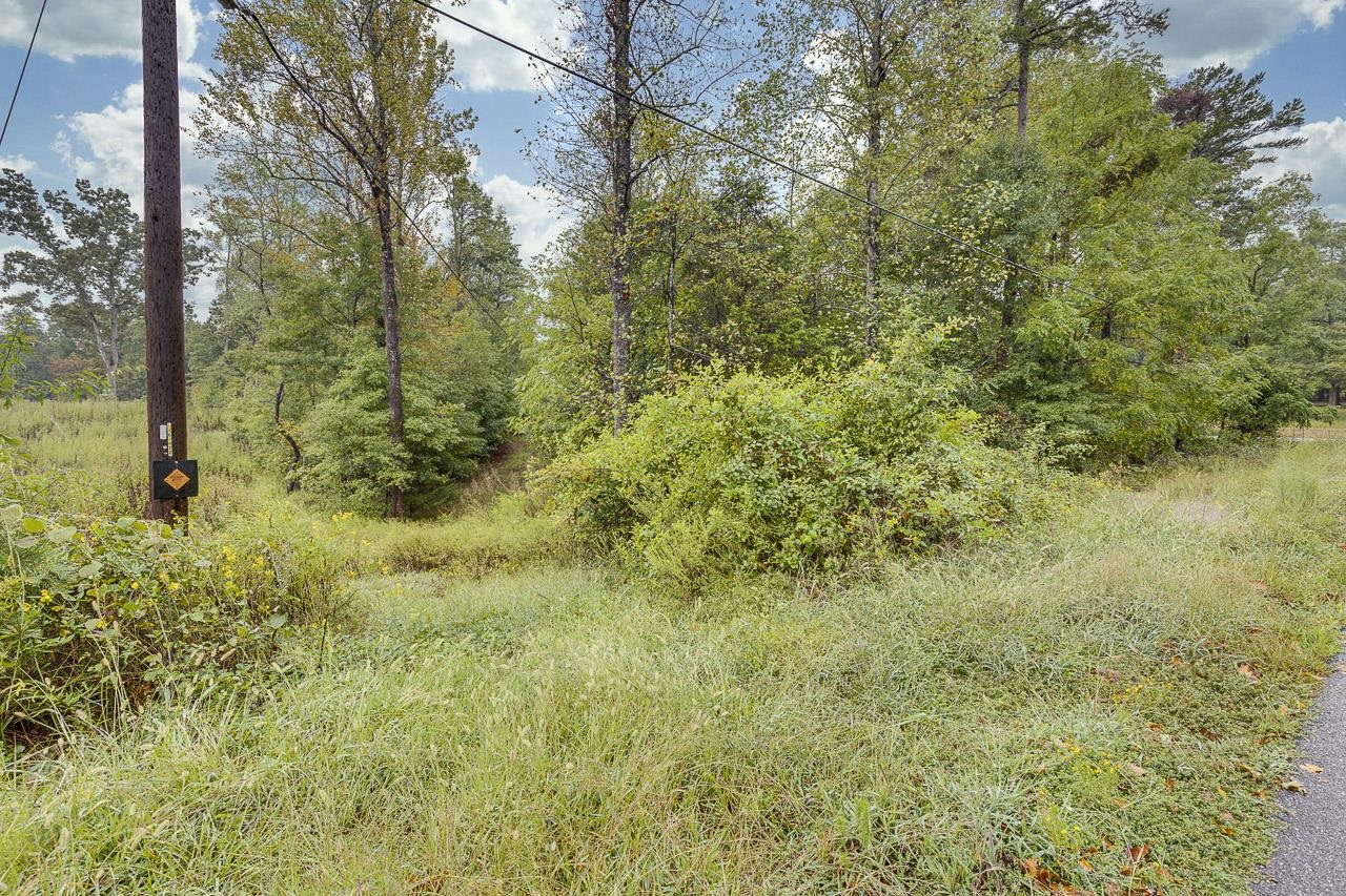 670 Flynn Road Greer, SC 29651 - Photo 2 of 6