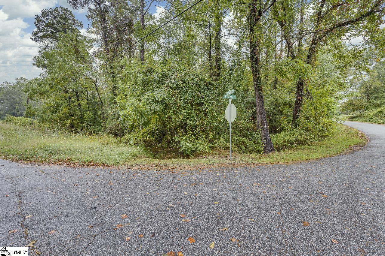 670 Flynn Road Greer, SC 29651 - Photo 3 of 6