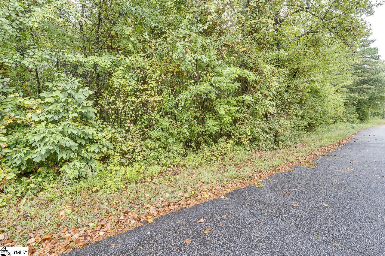 670 Flynn Road Greer, SC 29651 - Photo 4 of 6