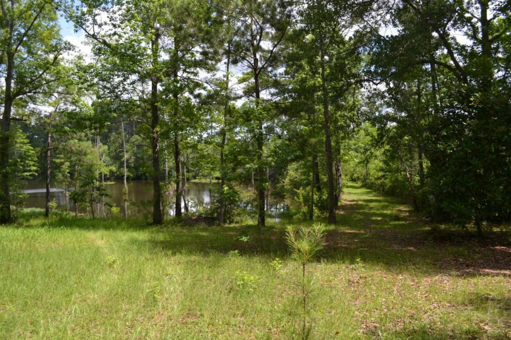 21550 Bobs Road Long Beach, MS 39560 - Photo 24 of 25