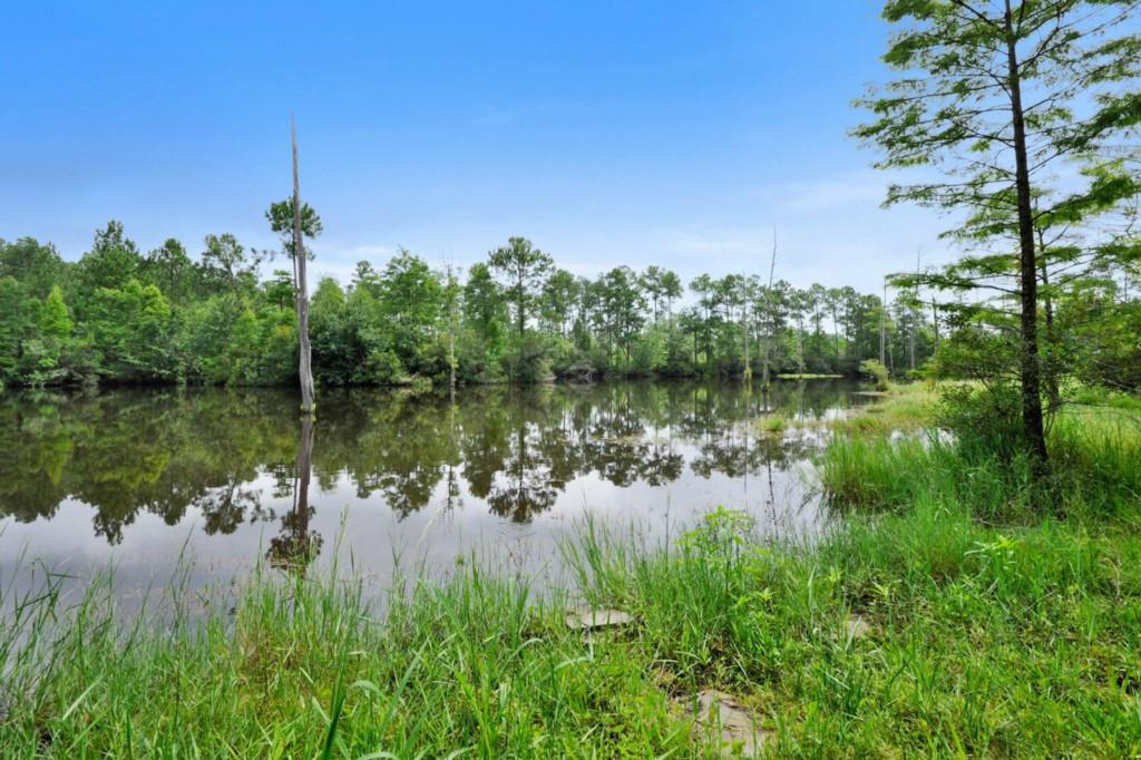 21550 Bobs Road Long Beach, MS 39560 - Photo 25 of 25