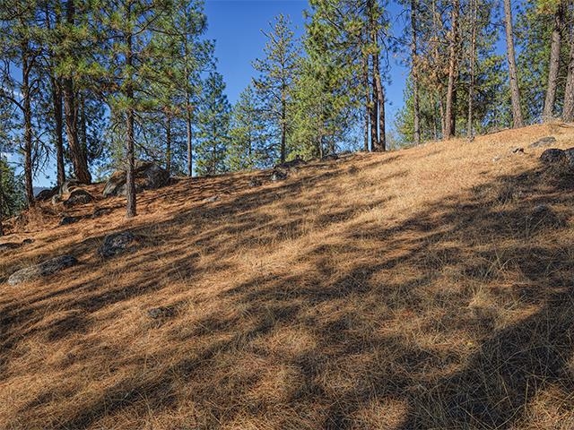 Nine Raven Ridge Nine Mile Falls, WA 99026 - Photo 2 of 9
