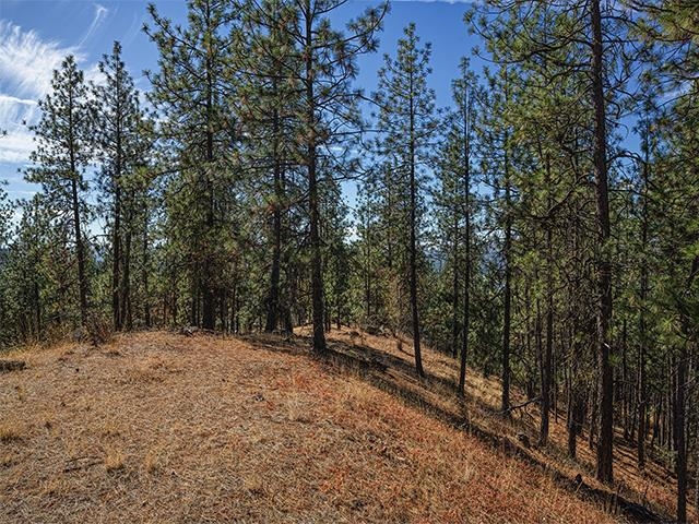 Nine Raven Ridge Nine Mile Falls, WA 99026 - Photo 5 of 9