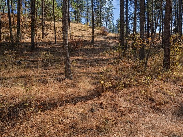 Nine Raven Ridge Nine Mile Falls, WA 99026 - Photo 8 of 9