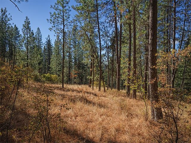 Nine Raven Ridge Nine Mile Falls, WA 99026 - Photo 9 of 9