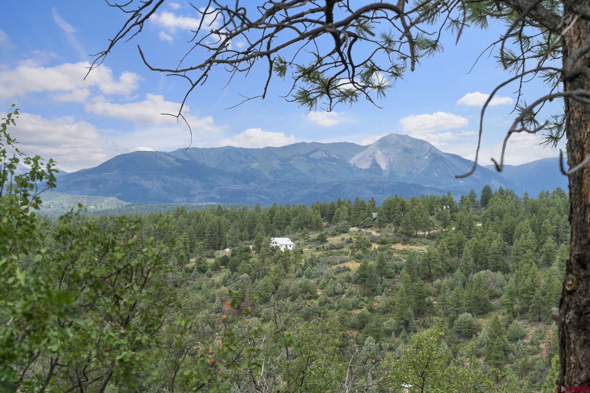 661 Ridge Road Durango, CO 81303 - Photo 12 of 17 a view of a yard in a back yard