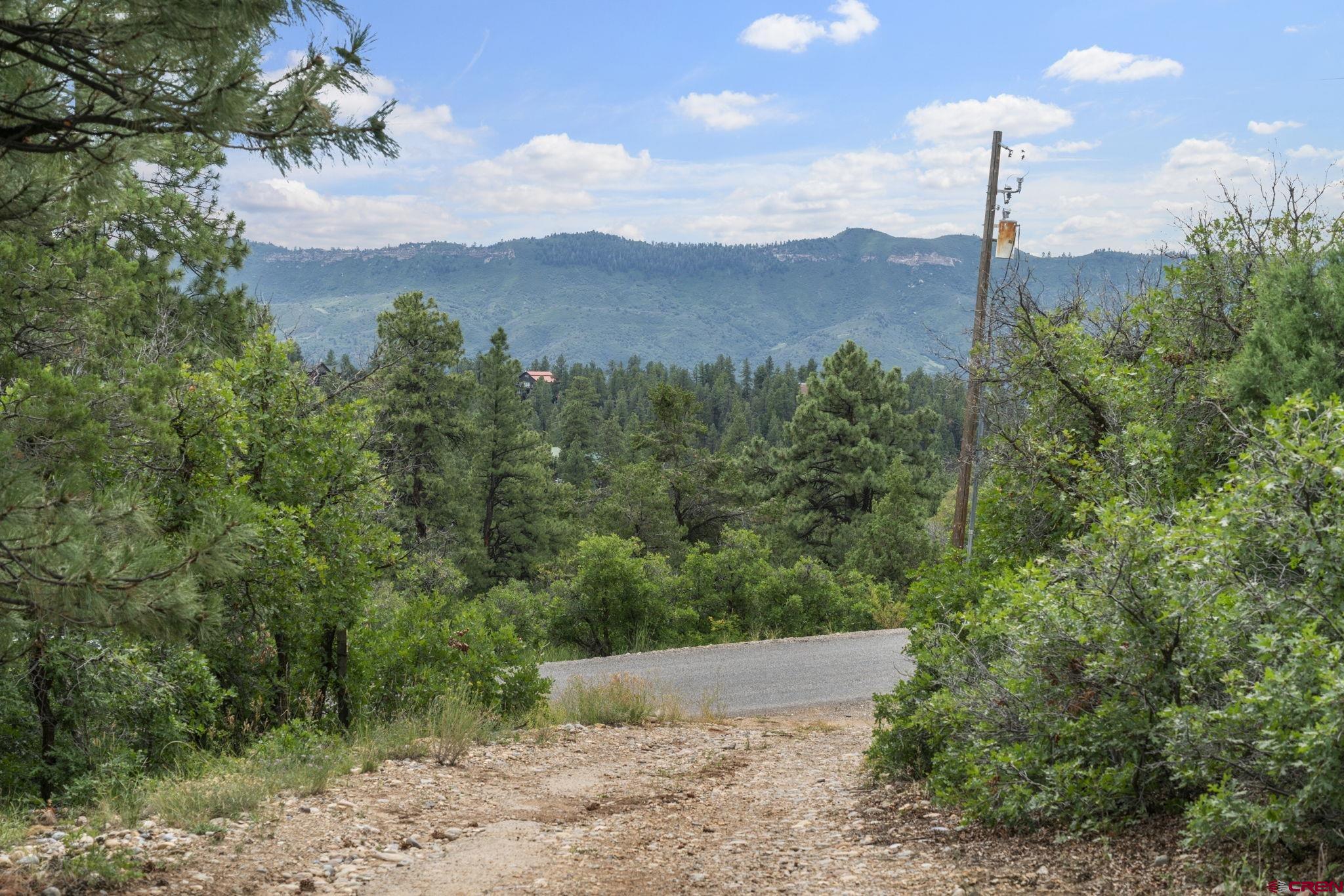 661 Ridge Road Durango, CO 81303 - Photo 14 of 17 a view of a street with a tree in the background