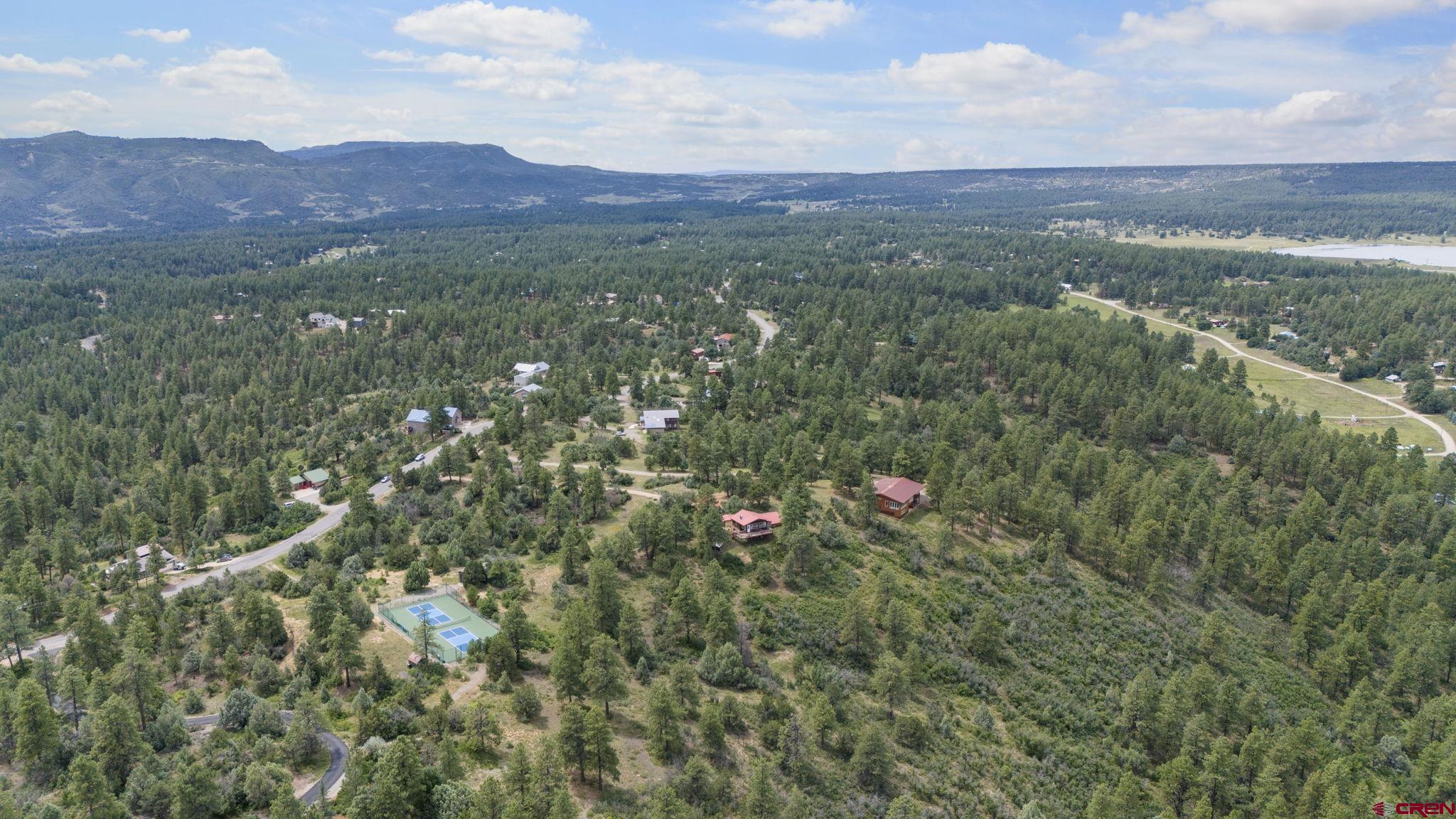 661 Ridge Road Durango, CO 81303 - Photo 7 of 17 a view of a green field with lots of bushes
