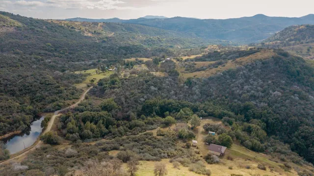 a view of a forest with mountains in the background