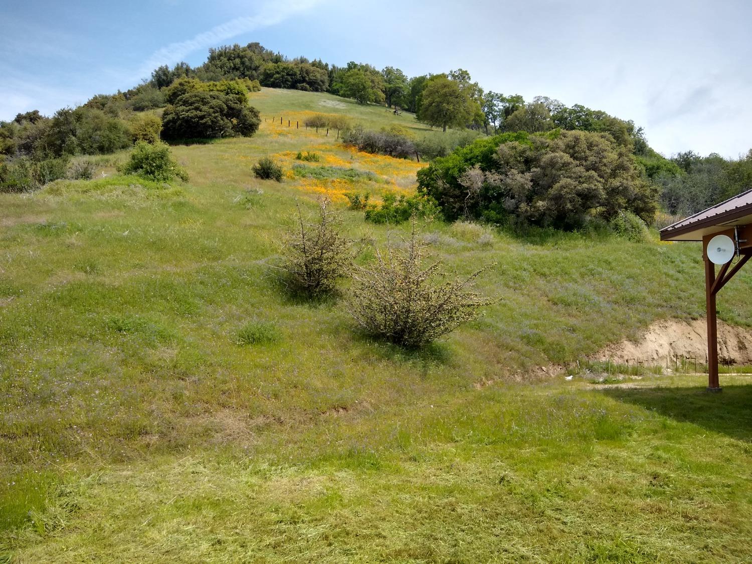 44981 Todd Eymann Road Dunlap, CA 93621 - Photo 29 of 95