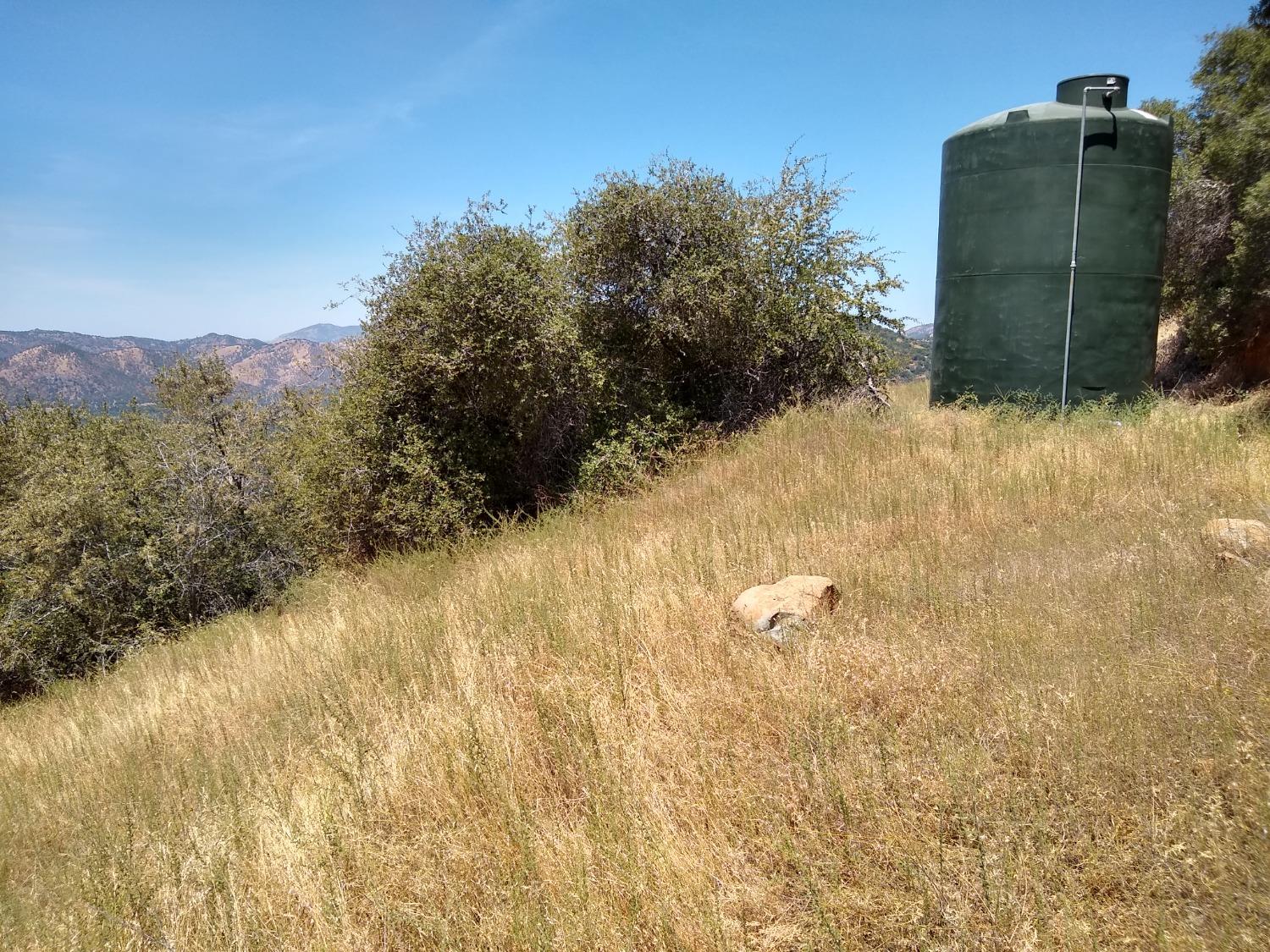 44981 Todd Eymann Road Dunlap, CA 93621 - Photo 49 of 95 a view of a yard with tall trees