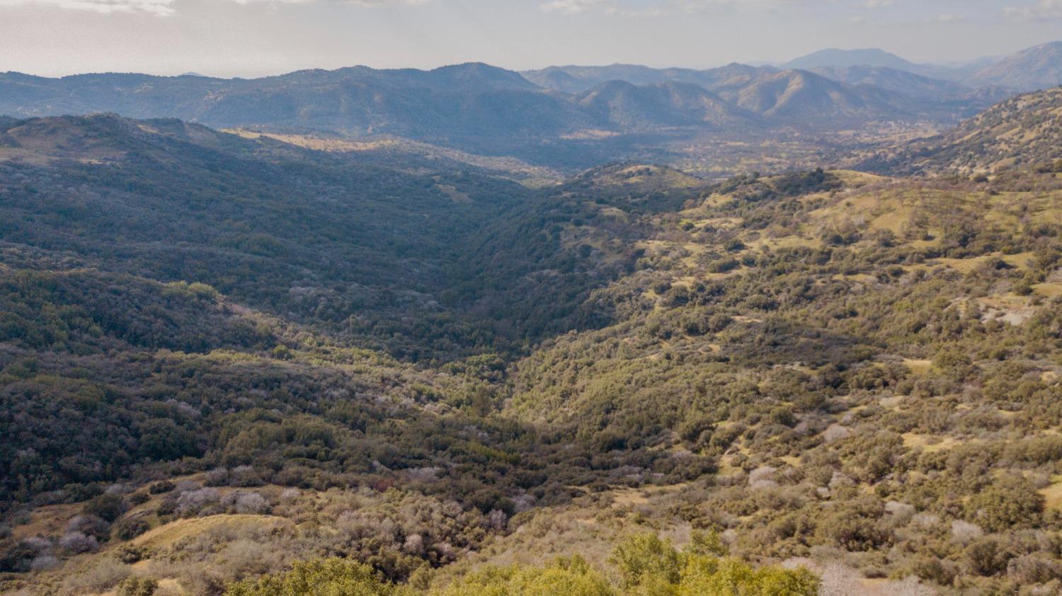 44981 Todd Eymann Road Dunlap, CA 93621 - Photo 58 of 95