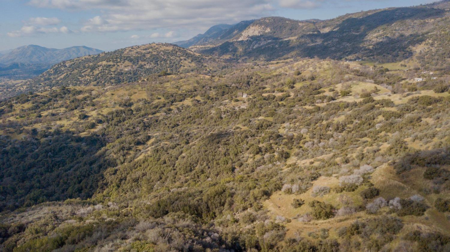 44981 Todd Eymann Road Dunlap, CA 93621 - Photo 61 of 95