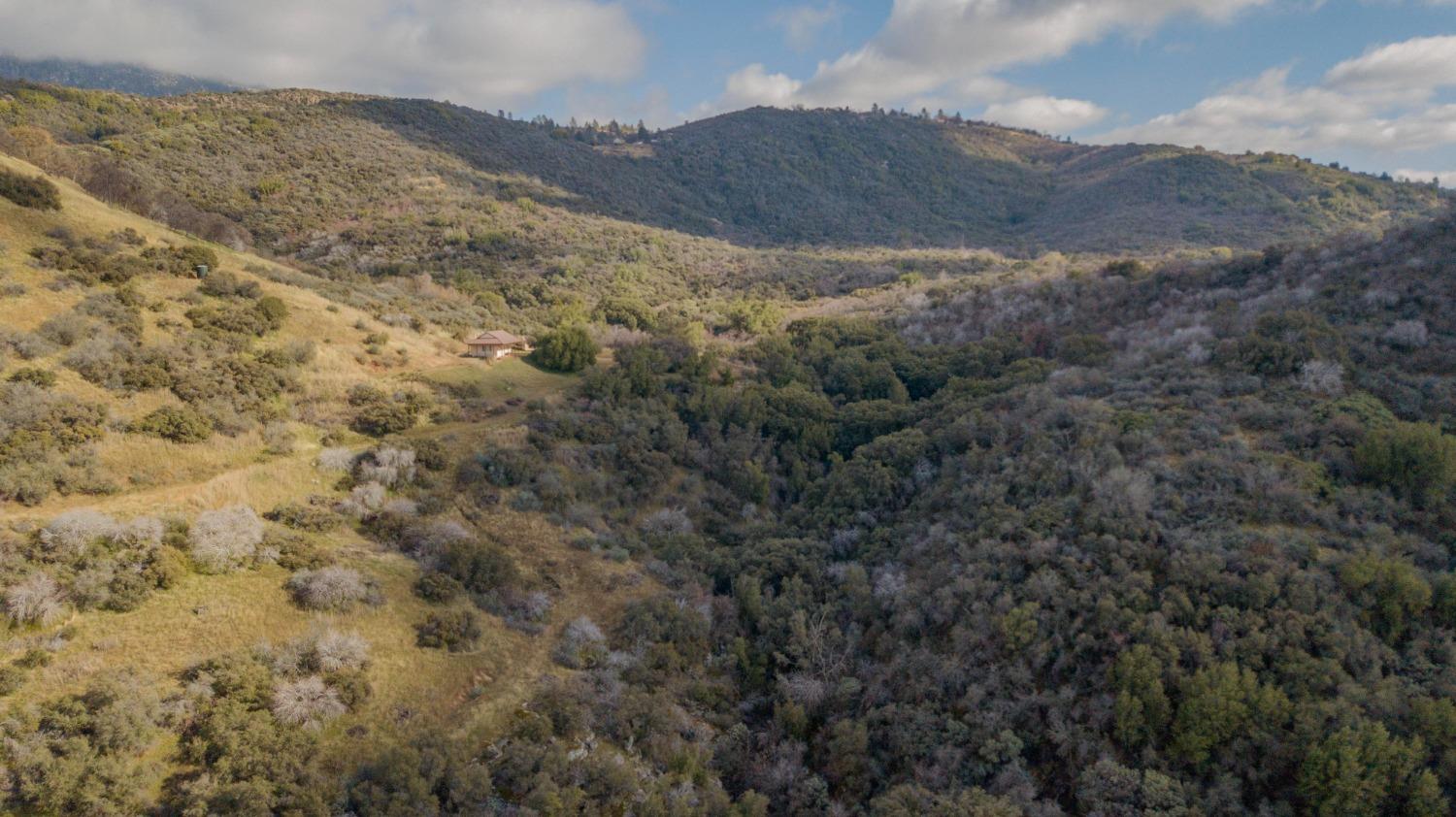 44981 Todd Eymann Road Dunlap, CA 93621 - Photo 64 of 95 a view of a dry yard with mountains in the background