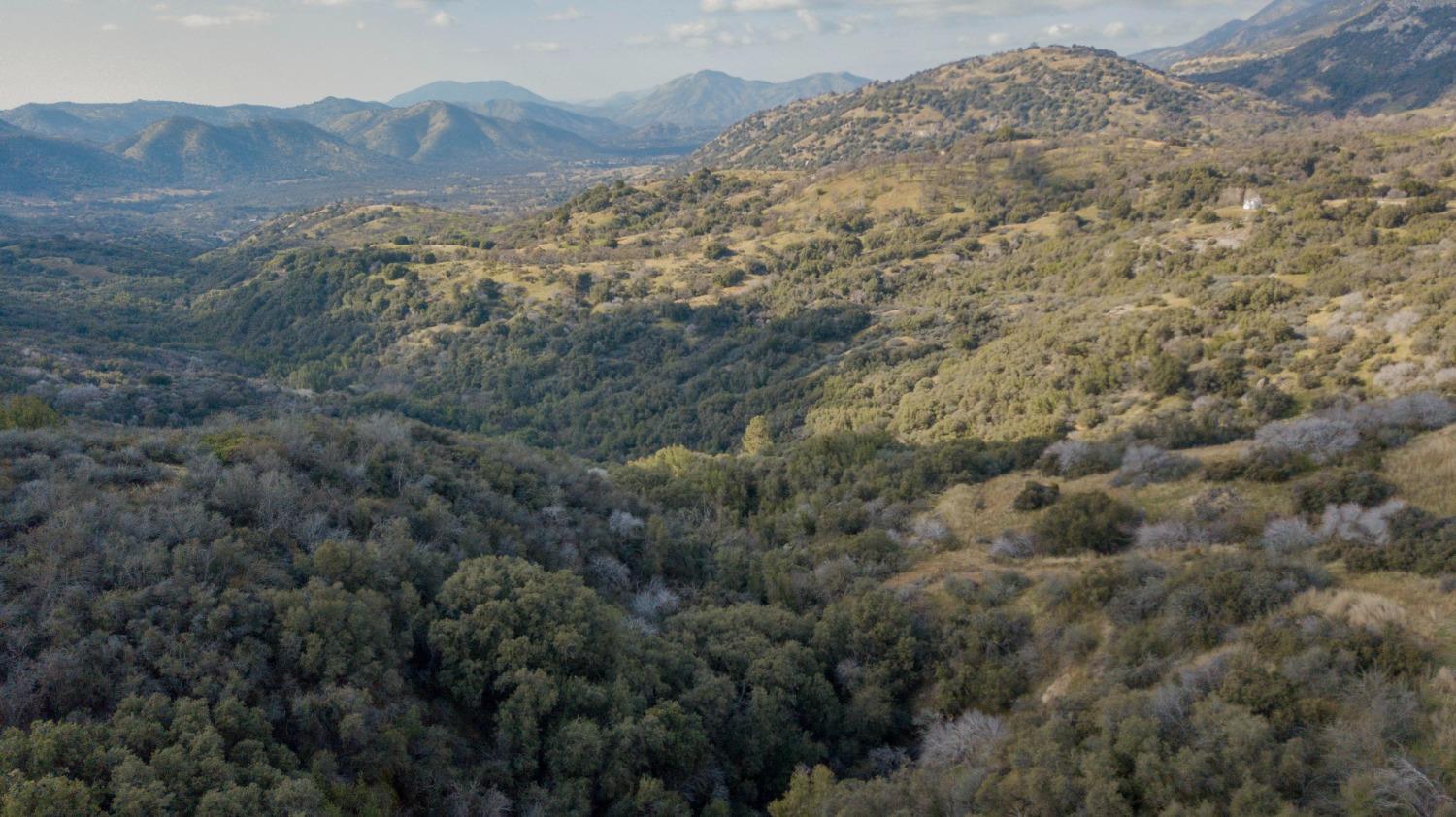 44981 Todd Eymann Road Dunlap, CA 93621 - Photo 67 of 95