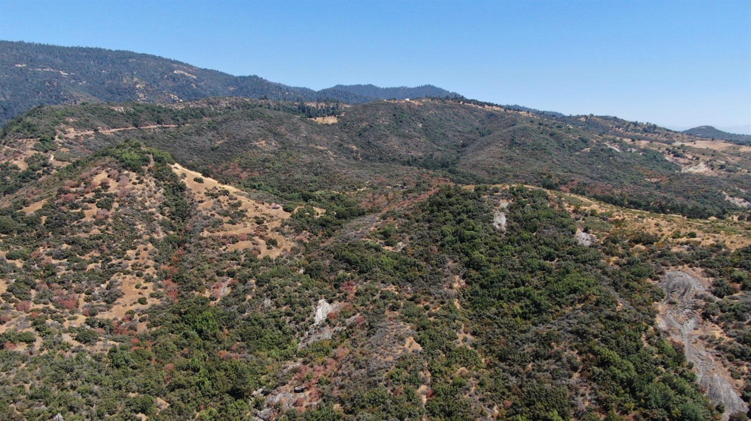 44981 Todd Eymann Road Dunlap, CA 93621 - Photo 69 of 95