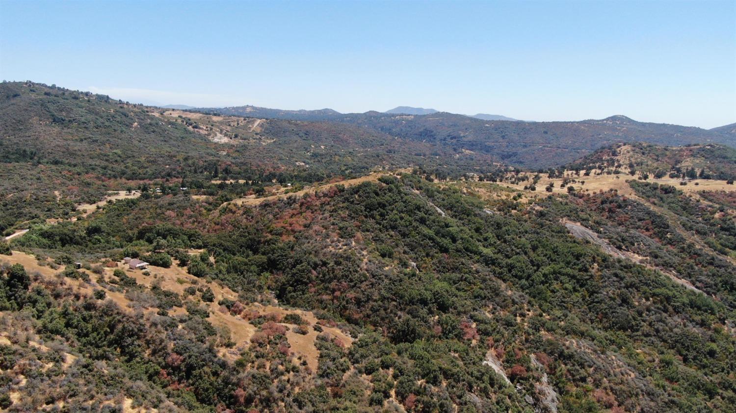 44981 Todd Eymann Road Dunlap, CA 93621 - Photo 70 of 95 a view of a lush green field with mountains in the background