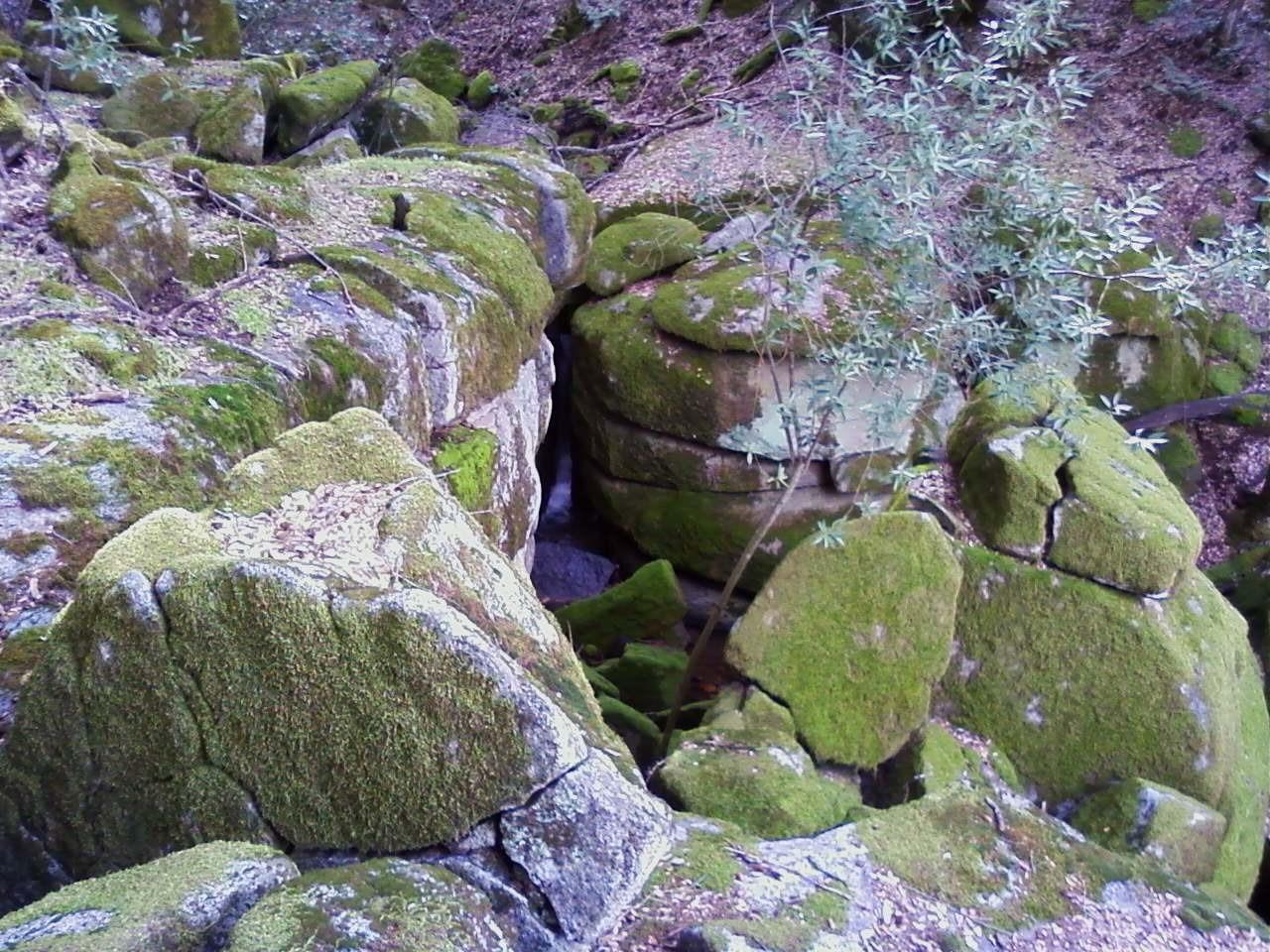 44981 Todd Eymann Road Dunlap, CA 93621 - Photo 77 of 95 a view of a bird bath
