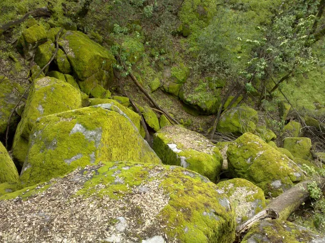 $465,000 | 44981 Todd Eymann Road, Dunlap, CA 93621