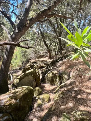 $465,000 | 44981 Todd Eymann Road, Dunlap, CA 93621