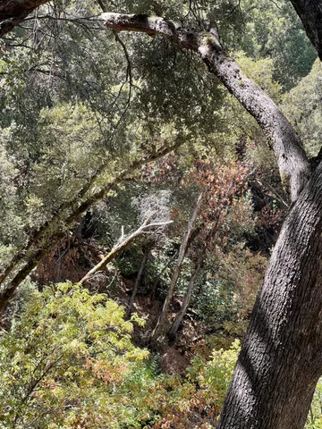 $465,000 | 44981 Todd Eymann Road, Dunlap, CA 93621