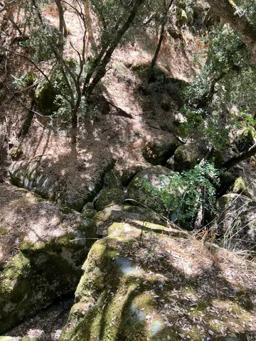 $465,000 | 44981 Todd Eymann Road, Dunlap, CA 93621