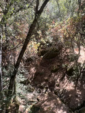 $465,000 | 44981 Todd Eymann Road, Dunlap, CA 93621