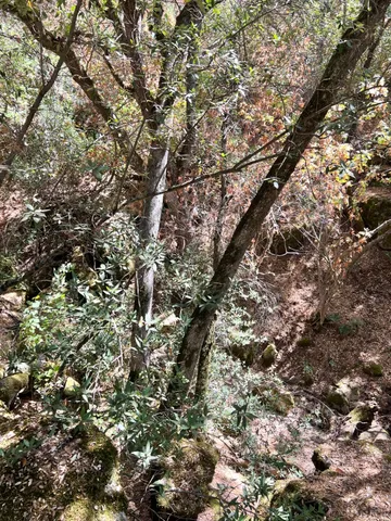 $465,000 | 44981 Todd Eymann Road, Dunlap, CA 93621