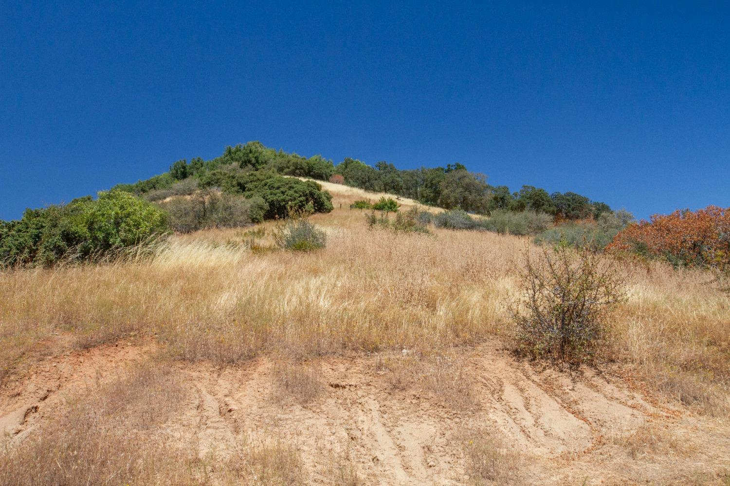 44981 Todd Eymann Road Dunlap, CA 93621 - Photo 94 of 95