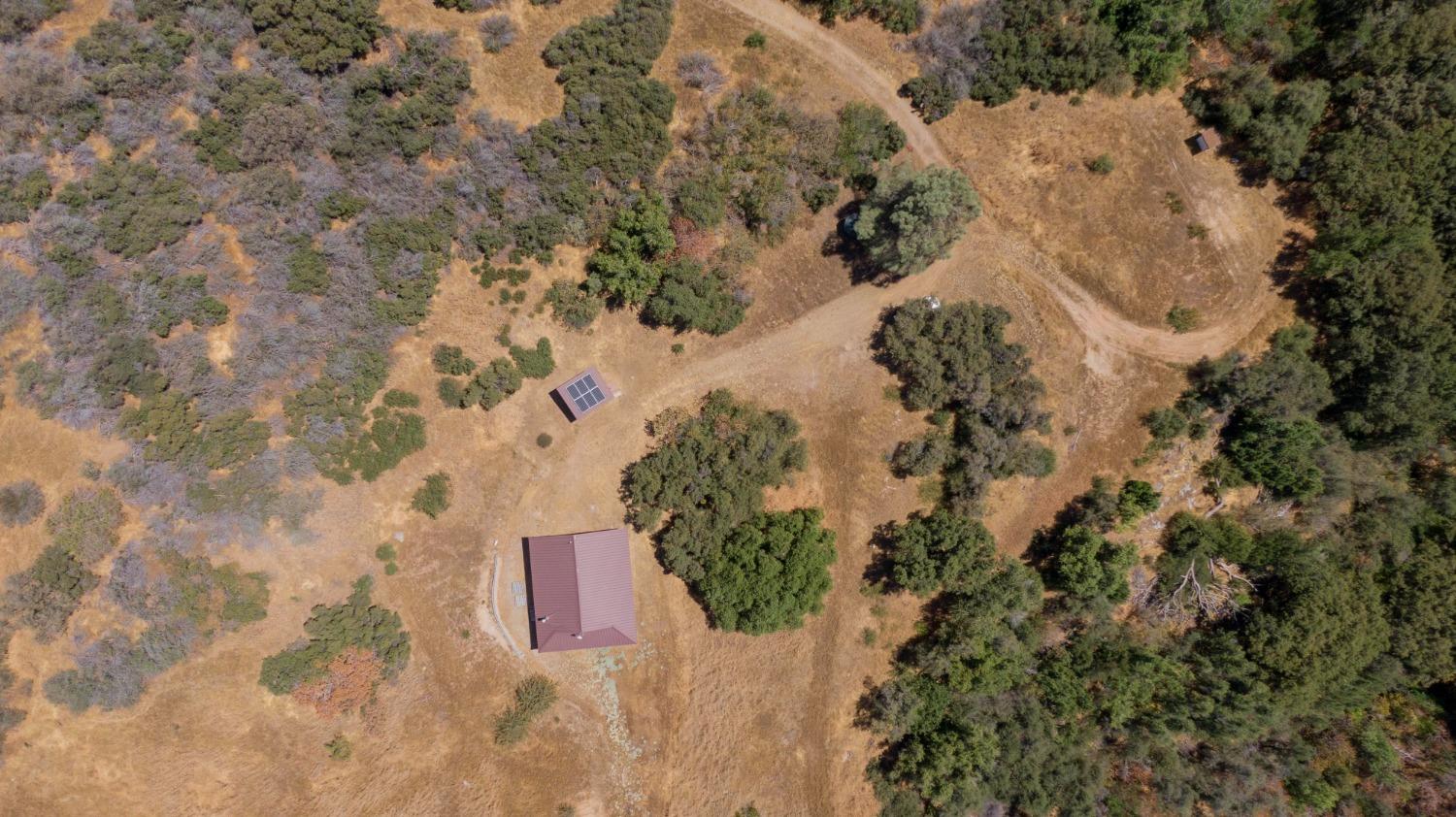 44981 Todd Eymann Road Dunlap, CA 93621 - Photo 95 of 95 a view of a flowers in a yard