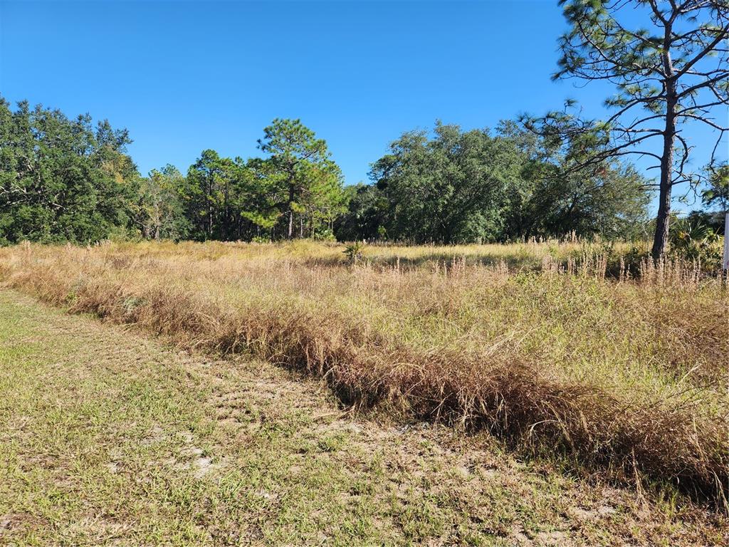 Markham Woods Road Longwood, FL 32779 - Photo 2 of 11
