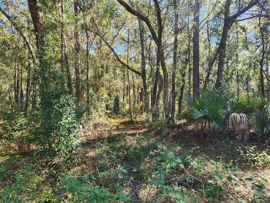 Markham Woods Road Longwood, FL 32779 - Photo 3 of 11