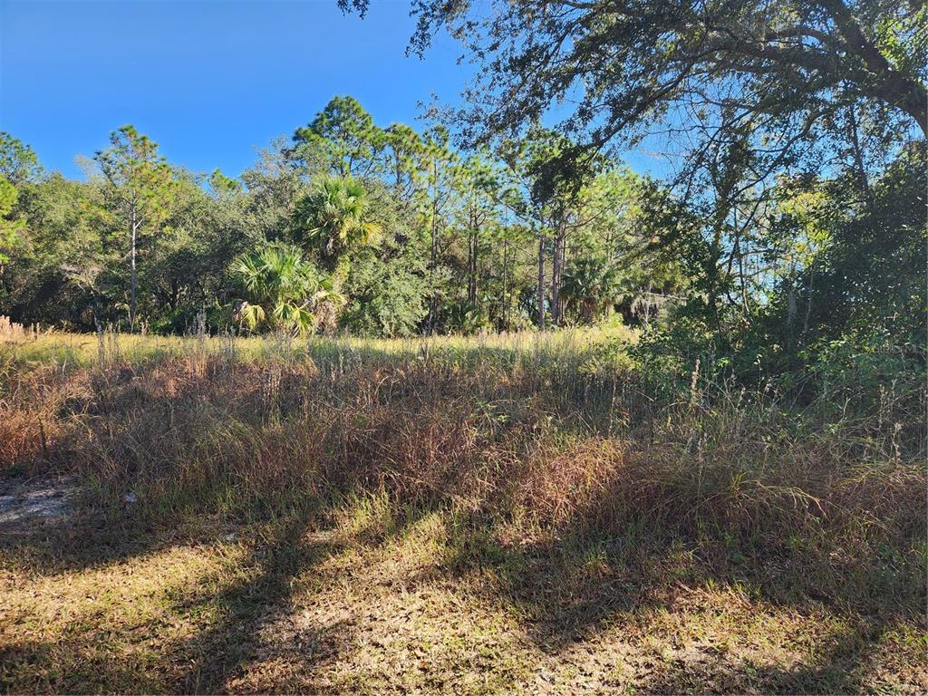 Markham Woods Road Longwood, FL 32779 - Photo 4 of 11