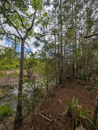 $500,000 | 38521 Ilex Trail, Eustis, FL 32736