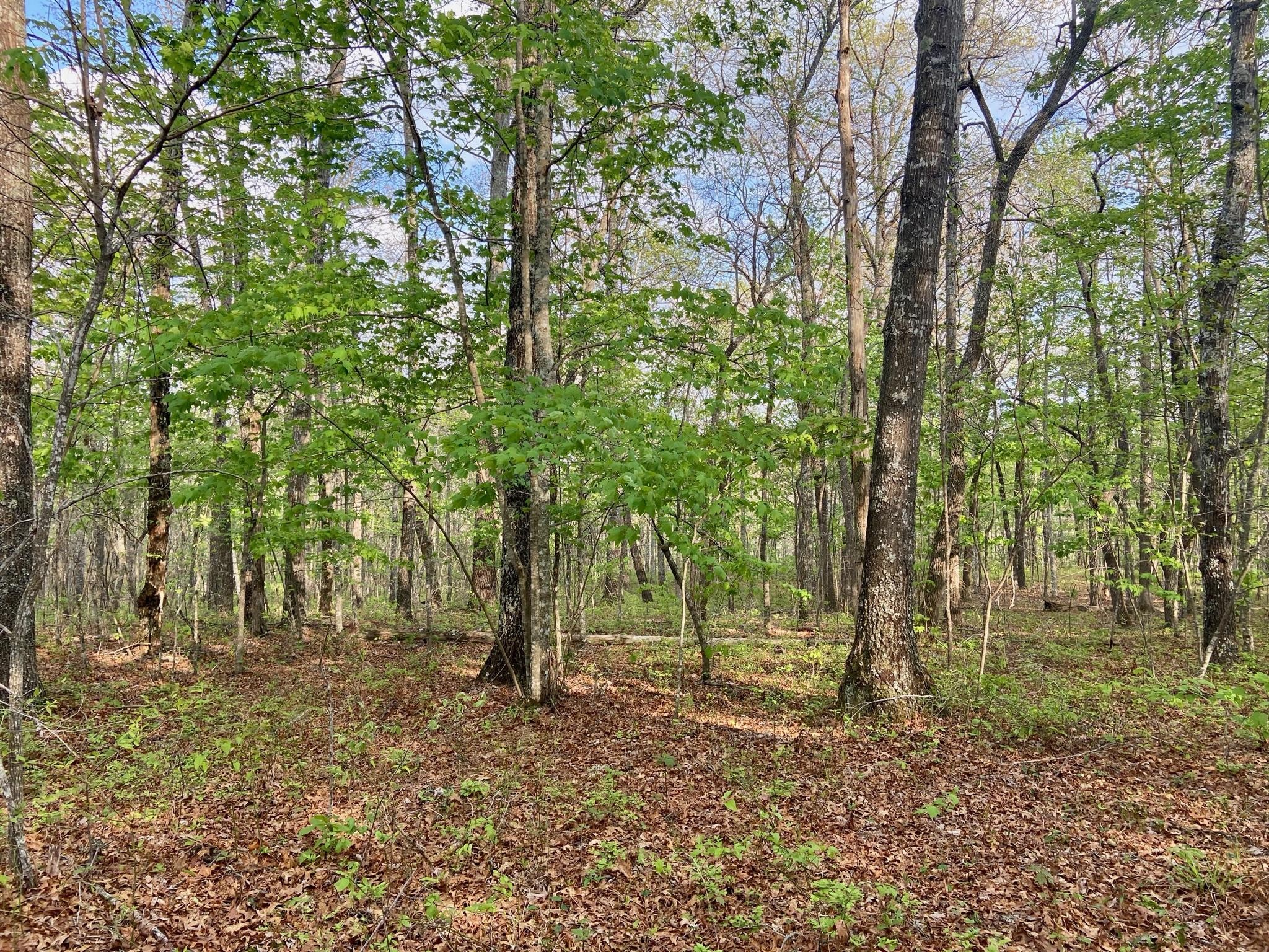 0 Laurel Ridge Dunlap, TN 37327 - Photo 1 of 9 Gallery Image 1