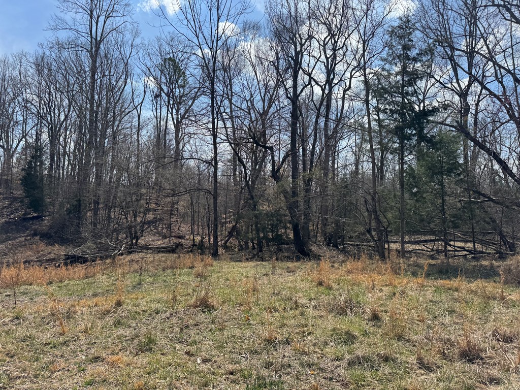 22 Stone Gate Farm Road Donalds, SC 29638 - Photo 10 of 26