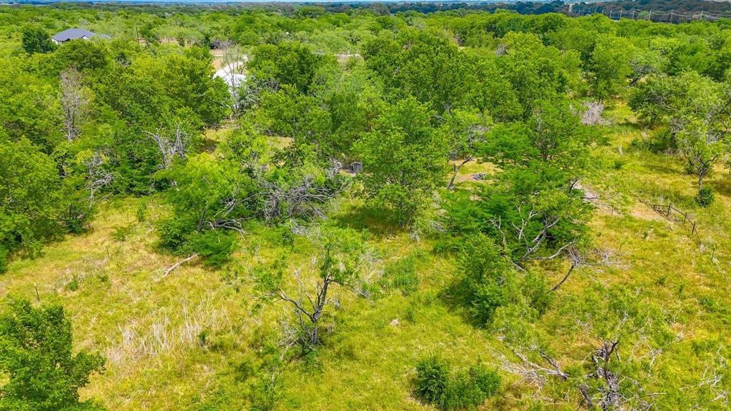Lot 123 Palmito Ranch Road Corsicana, TX 75110 - Photo 21 of 23 a view of a big yard with plants and large trees