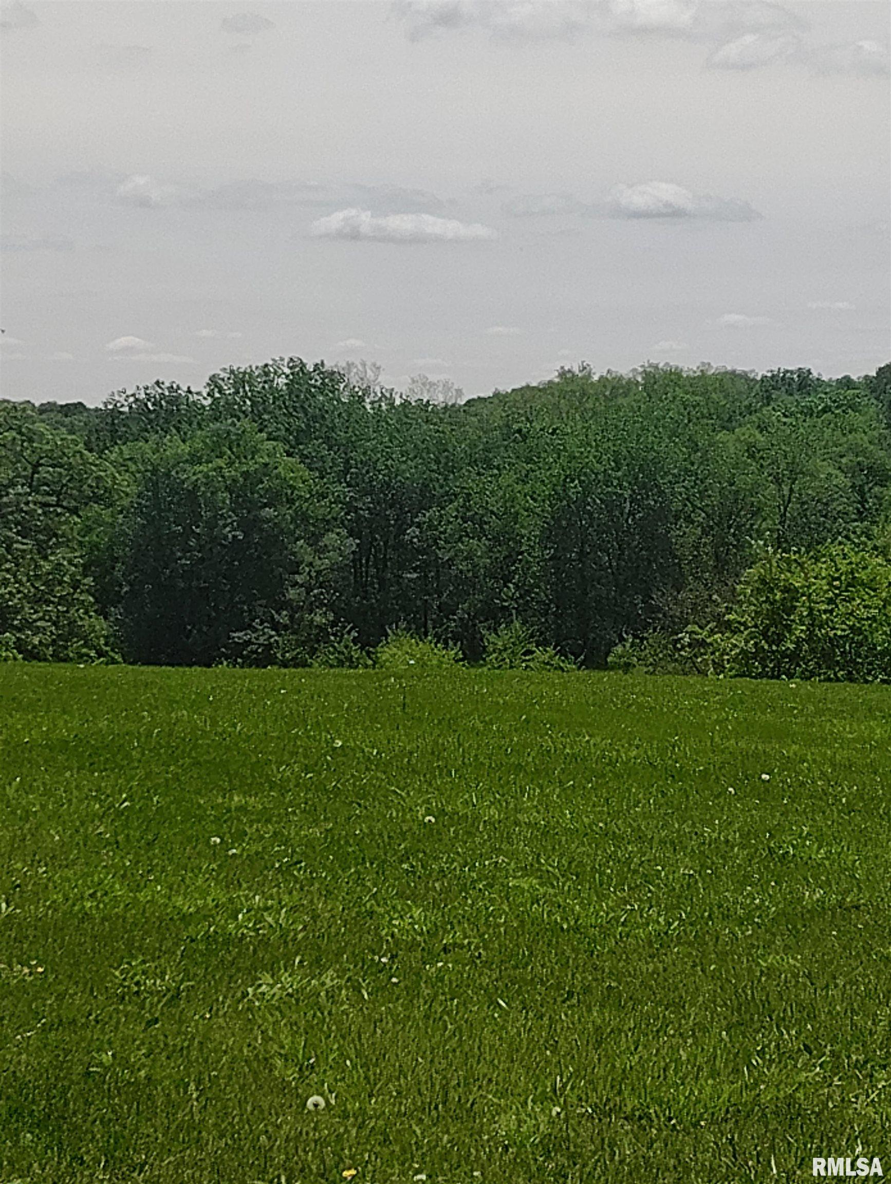 30720 North Norris Blacktop Road Farmington, IL 61531 - Photo 17 of 94