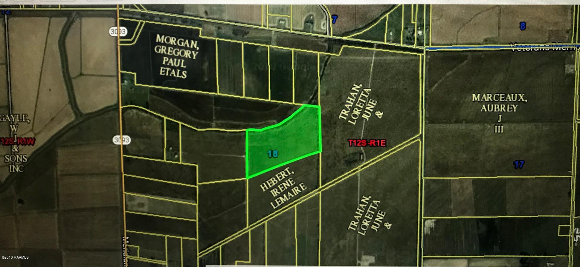 Tbd Meridian Line Road Kaplan, LA 70548 - Photo 2 of 4 IMG_3678