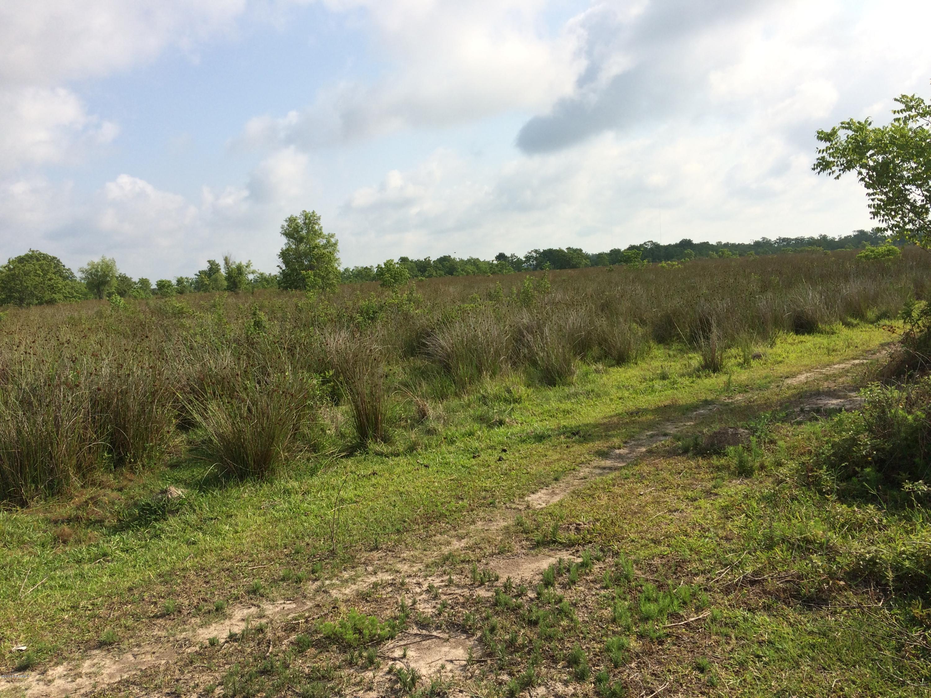Tbd Meridian Line Road Kaplan, LA 70548 - Photo 4 of 4 Gueydan 2