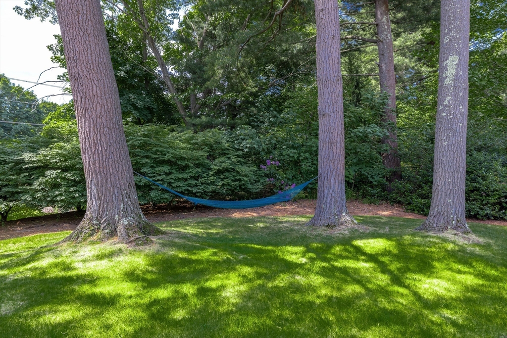 212 Broad Meadow Road Needham, MA 02492 - Photo 29 of 33
