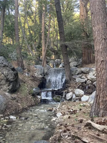 $599,000 | 24655 Upper Rim Rock Road, Idyllwild, CA 92549